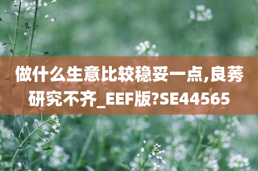 做什么生意比较稳妥一点,良莠研究不齐_EEF版?SE44565