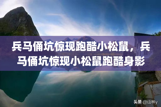 兵马俑坑惊现跑酷小松鼠，兵马俑坑惊现小松鼠跑酷身影，兵马俑坑惊现小松鼠跑酷身影，萌态十足引热议