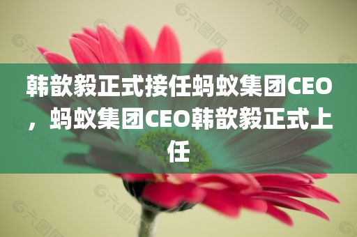 韩歆毅正式接任蚂蚁集团CEO，蚂蚁集团CEO韩歆毅正式上任