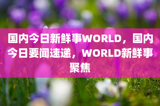 国内今日新鲜事WORLD，国内今日要闻速递，WORLD新鲜事聚焦，今日国内要闻与WORLD新鲜事聚焦