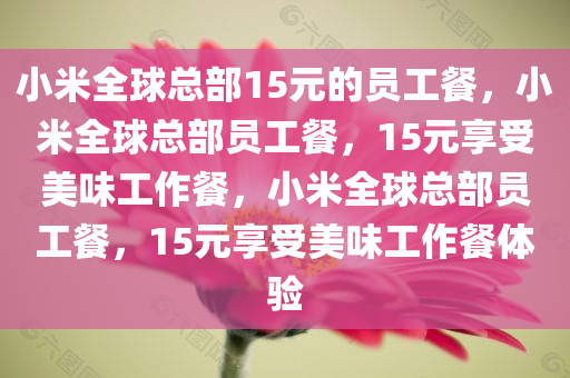 小米全球总部15元的员工餐，小米全球总部员工餐，15元享受美味工作餐，小米全球总部员工餐，15元享受美味工作餐体验