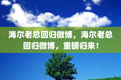 海尔老总回归微博，海尔老总回归微博，重磅归来！