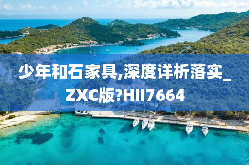 少年和石家具,深度详析落实_ZXC版?HII7664