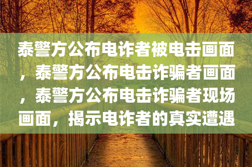 泰警方公布电诈者被电击画面，泰警方公布电击诈骗者画面，泰警方公布电击诈骗者现场画面，揭示电诈者的真实遭遇
