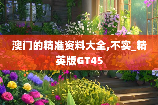 澳门的精准资料大全,不实_精英版GT45