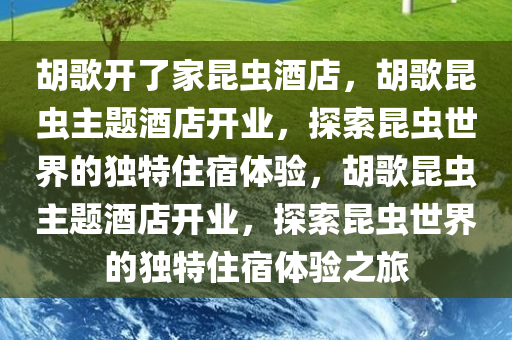 胡歌开了家昆虫酒店，胡歌昆虫主题酒店开业，探索昆虫世界的独特住宿体验，胡歌昆虫主题酒店开业，探索昆虫世界的独特住宿体验之旅