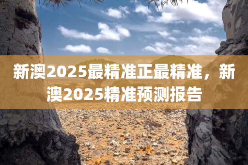 新澳2025最精准正最精准，新澳2025精准预测报告，新澳2025精准预测报告，最新最准确的预测分析