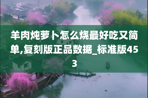 羊肉炖萝卜 第3页