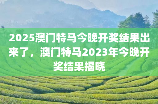 2025澳门特马今晚开奖结果出来了，澳门特马2023年今晚开奖结果揭晓，澳门特马最新开奖结果，2023年今晚开奖揭晓及未来预测