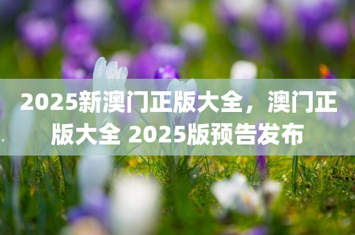 2025新澳门正版大全，澳门正版大全 2025版预告发布