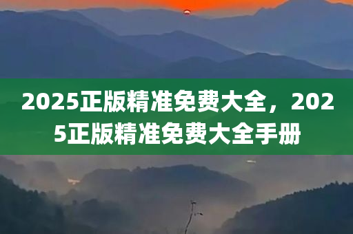 2025正版精准免费大全，2025正版精准免费大全手册，2025正版精准免费手册，全面解析与指南