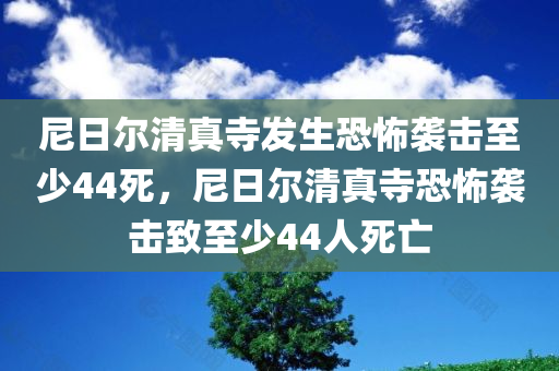 尼日尔清真寺发生恐怖袭击至少44死，尼日尔清真寺恐怖袭击致至少44人死亡