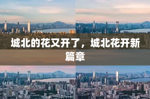 城北的花又开了，城北花开新篇章