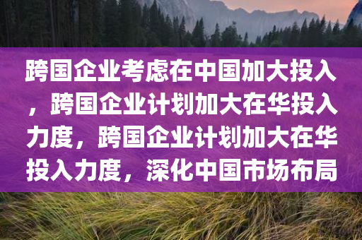 跨国企业考虑在中国加大投入，跨国企业计划加大在华投入力度，跨国企业计划加大在华投入力度，深化中国市场布局