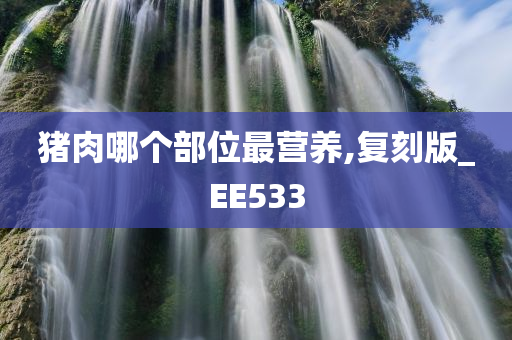 猪肉部位 第3页