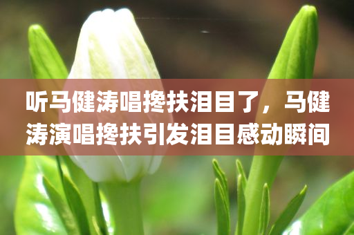 听马健涛唱搀扶泪目了，马健涛演唱搀扶引发泪目感动瞬间