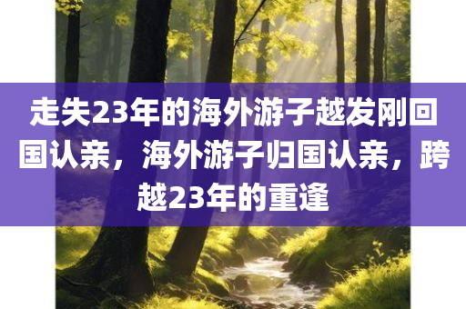 走失23年的海外游子越发刚回国认亲，海外游子归国认亲，跨越23年的重逢