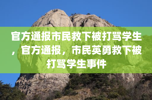 官方通报市民救下被打骂学生，官方通报，市民英勇救下被打骂学生事件
