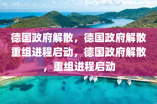 德国政府解散，德国政府解散重组进程启动，德国政府解散，重组进程启动