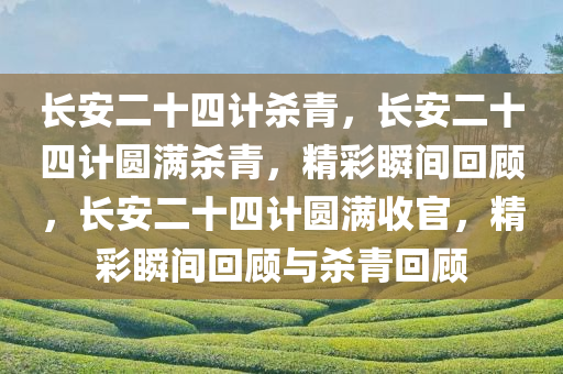 长安二十四计杀青，长安二十四计圆满杀青，精彩瞬间回顾，长安二十四计圆满收官，精彩瞬间回顾与杀青回顾