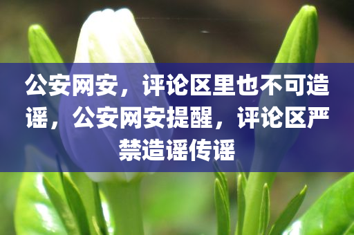 公安网安，评论区里也不可造谣，公安网安提醒，评论区严禁造谣传谣