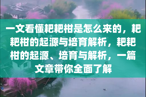 一文看懂耙耙柑是怎么来的