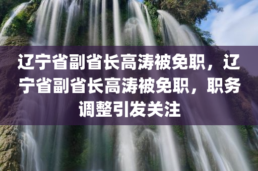 辽宁省副省长高涛被免职，辽宁省副省长高涛被免职，职务调整引发关注