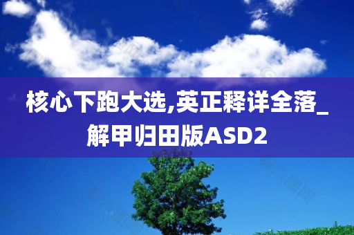 核心下跑大选,英正释详全落_解甲归田版ASD2