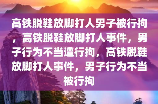 高铁脱鞋放脚打人男子被行拘，高铁脱鞋放脚打人事件，男子行为不当遭行拘，高铁脱鞋放脚打人事件，男子行为不当被行拘