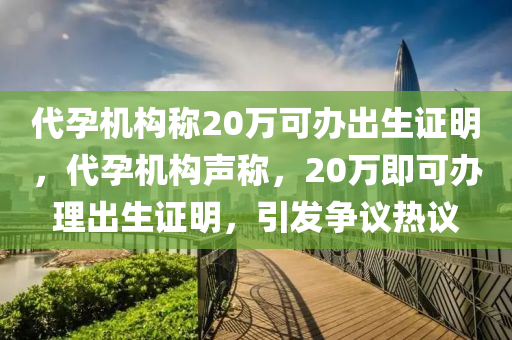 代孕机构称20万可办出生证明，代孕机构声称，20万即可办理出生证明，引发争议热议