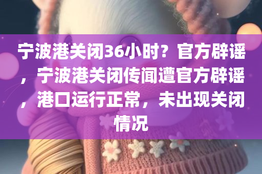 宁波港关闭36小时？官方辟谣，宁波港关闭传闻遭官方辟谣，港口运行正常，未出现关闭情况