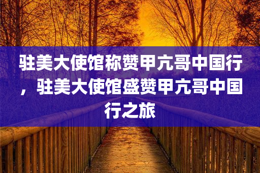 驻美大使馆称赞甲亢哥中国行，驻美大使馆盛赞甲亢哥中国行之旅，驻美大使馆盛赞甲亢哥中国行之旅，文化交流与友谊的展现
