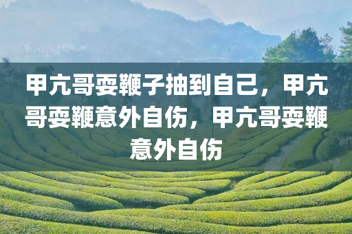 甲亢哥耍鞭子抽到自己，甲亢哥耍鞭意外自伤，甲亢哥耍鞭意外自伤