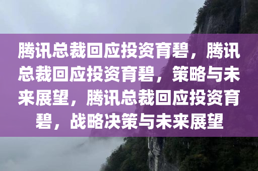 腾讯总裁回应投资育碧，腾讯总裁回应投资育碧，策略与未来展望，腾讯总裁回应投资育碧，战略决策与未来展望