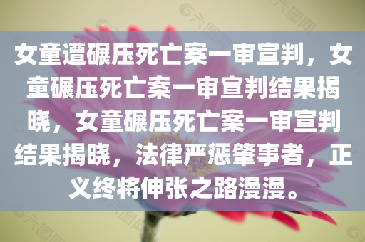 女童遭碾压死亡案一审宣判，女童碾压死亡案一审宣判结果揭晓，女童碾压死亡案一审宣判结果揭晓，法律严惩肇事者，正义终将伸张之路漫漫。