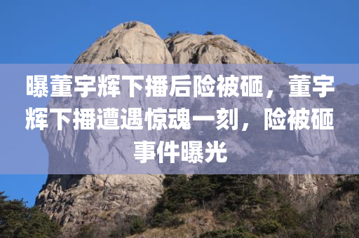 曝董宇辉下播后险被砸，董宇辉下播遭遇惊魂一刻，险被砸事件曝光，董宇辉下播遭遇惊魂险被砸事件曝光