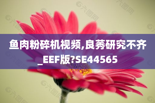 鱼肉粉碎机视频,良莠研究不齐_EEF版?SE44565