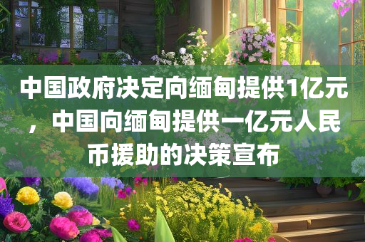 中国政府决定向缅甸提供1亿元，中国向缅甸提供一亿元人民币援助的决策宣布