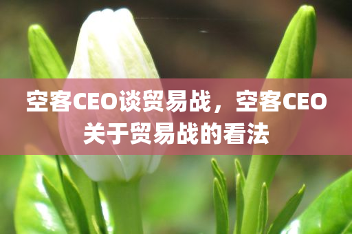 空客CEO谈贸易战，空客CEO关于贸易战的看法