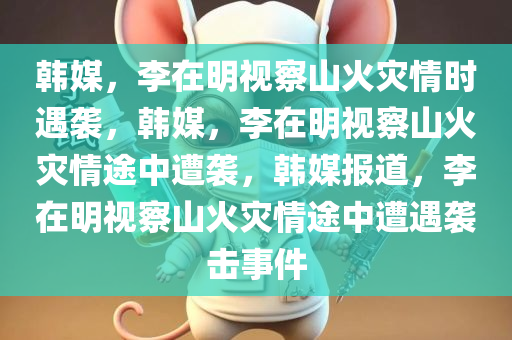 韩媒，李在明视察山火灾情时遇袭，韩媒，李在明视察山火灾情途中遭袭，韩媒报道，李在明视察山火灾情途中遭遇袭击事件