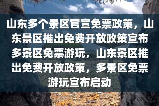 山东多个景区官宣免票政策，山东景区推出免费开放政策宣布多景区免票游玩，山东景区推出免费开放政策，多景区免票游玩宣布启动