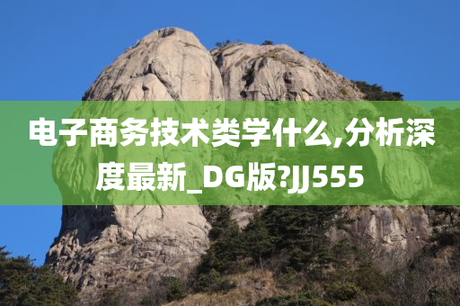 电子商务技术类学什么,分析深度最新_DG版?JJ555