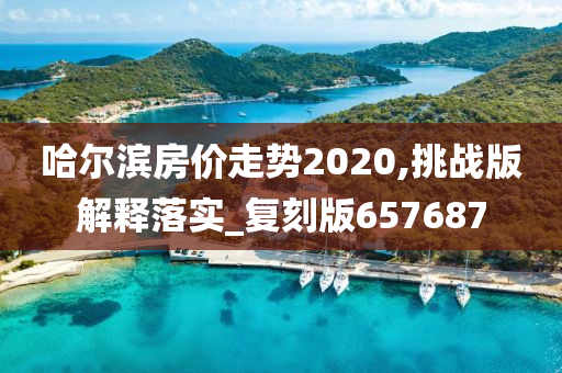 哈尔滨房价走势2020,挑战版解释落实_复刻版657687今晚必出三肖2025_2025新澳门精准免费提供·精确判断
