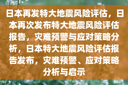 日本再发特大地震风险评估，日本再次发布特大地震风险评估报告，灾难预警与应对策略分析，日本特大地震风险评估报告发布，灾难预警、应对策略分析与启示