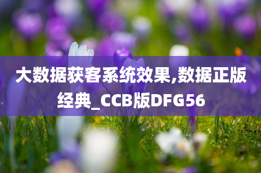 大数据获客系统效果,数据正版经典_CCB版DFG56