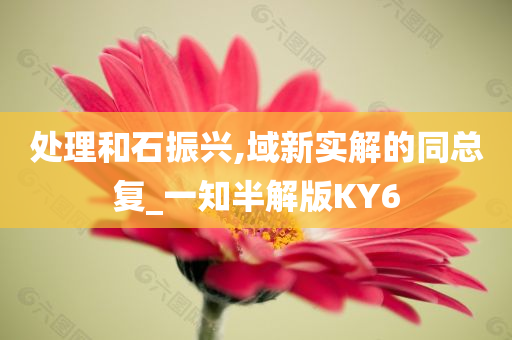 处理和石振兴,域新实解的同总复_一知半解版KY6