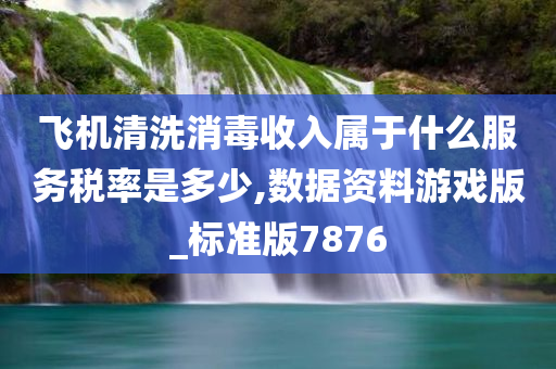 飞机清洗消毒收入属于什么服务税率是多少,数据资料游戏版_标准版7876