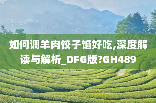 如何调羊肉饺子馅好吃,深度解读与解析_DFG版?GH489
