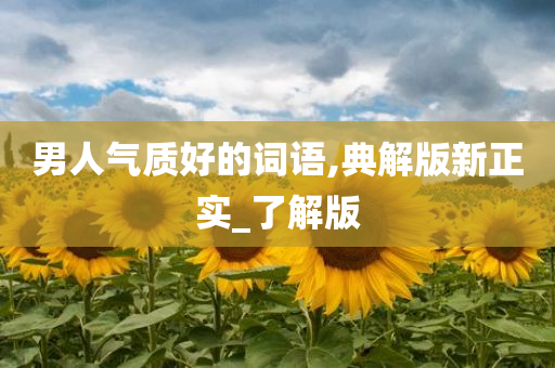 男人气质好的词语,典解版新正实_了解版