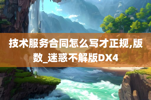 技术服务合同怎么写才正规,版数_迷惑不解版DX4